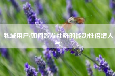 私域用户(如何激发社群的能动性倍增人气)