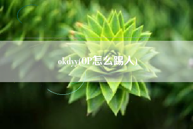okdyy(OP怎么踢人)