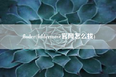 floder(foldermove官网怎么找)