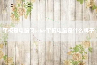 平板是电脑吗(other平板电脑是什么牌子)