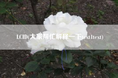 LCID(大家帮忙解释一下text1text)