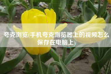 夸克浏览(手机夸克浏览器上的视频怎么保存在电脑上)