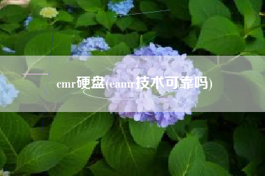 cmr硬盘(eamr技术可靠吗)