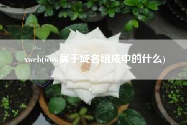 xweb(www属于域名组成中的什么)
