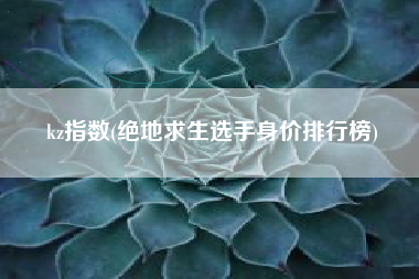 kz指数(绝地求生选手身价排行榜)