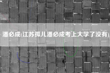 潘必成(江苏孤儿潘必成考上大学了没有)