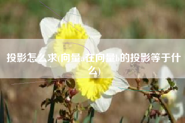 投影怎么求(向量a在向量b的投影等于什么)