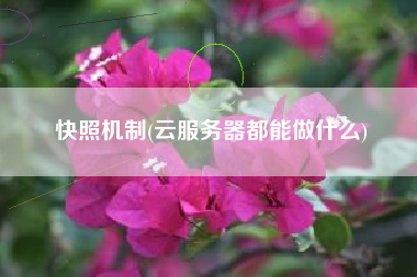 快照机制(云服务器都能做什么)