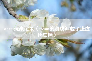 steam玩家记录（steam的游戏卸载了进度还在吗）