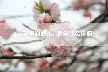 java手机游戏(Java是学什么的呀)