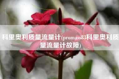 科里奥利质量流量计(promass83科里奥利质量流量计故障)