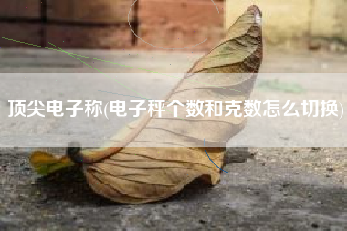 顶尖电子称(电子秤个数和克数怎么切换)