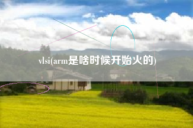 vlsi(arm是啥时候开始火的)