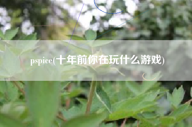 pspice(十年前你在玩什么游戏)