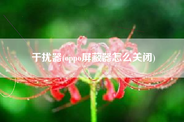干扰器(oppo屏蔽器怎么关闭)