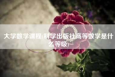 大学数学课程(科学出版社高等数学是什么等级)
