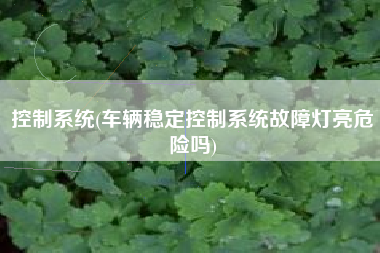 控制系统(车辆稳定控制系统故障灯亮危险吗)