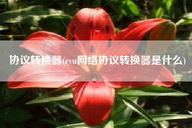 协议转换器(rvu网络协议转换器是什么)