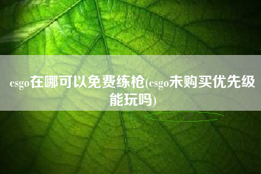 csgo在哪可以免费练枪(csgo未购买优先级能玩吗)