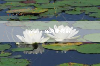 riva(riva66游艇参数)