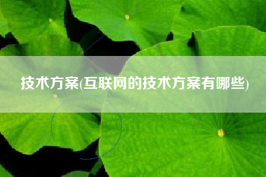 技术方案(互联网的技术方案有哪些)