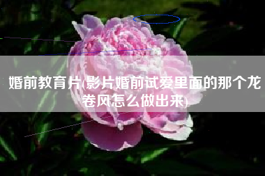 婚前教育片(影片婚前试爱里面的那个龙卷风怎么做出来)