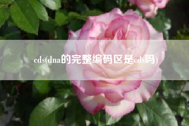 cds(dna的完整编码区是cds吗)