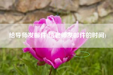 给导师发邮件(给老师发邮件的时间)
