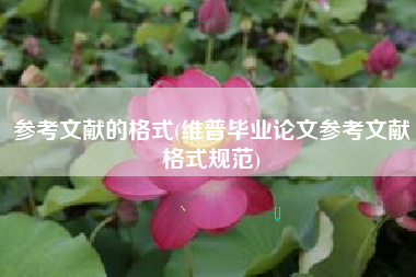 参考文献的格式(维普毕业论文参考文献格式规范)