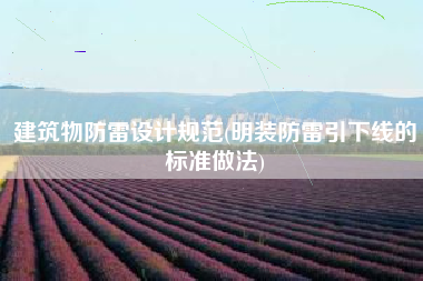建筑物防雷设计规范(明装防雷引下线的标准做法)