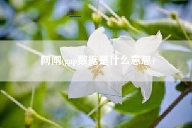 网闸(gap数据是什么意思)