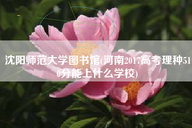 沈阳师范大学图书馆(河南2017高考理种510分能上什么学校)