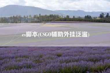 cs脚本(CSGO辅助外挂泛滥)