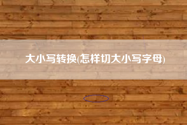 大小写转换(怎样切大小写字母)