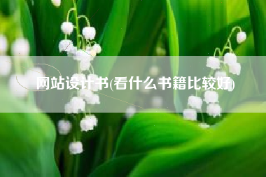 网站设计书(看什么书籍比较好)