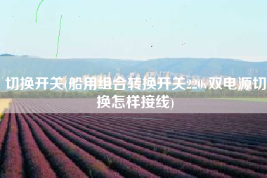 切换开关(船用组合转换开关220v双电源切换怎样接线)
