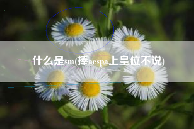 什么是sm(捧aespa上皇位不说)
