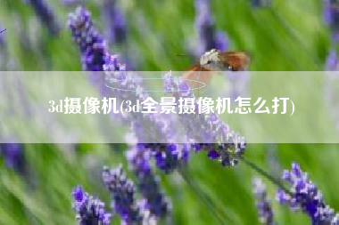 3d摄像机(3d全景摄像机怎么打)