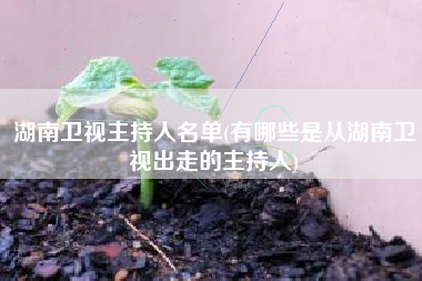 湖南卫视主持人名单(有哪些是从湖南卫视出走的主持人)