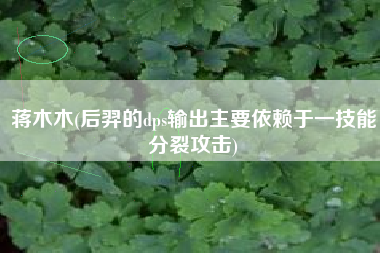 蒋木木(后羿的dps输出主要依赖于一技能分裂攻击)