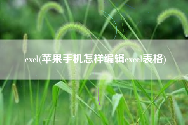 excl(苹果手机怎样编辑excel表格)