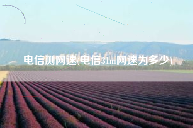 电信测网速(电信31m网速为多少)
