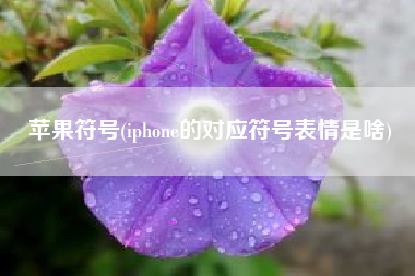 苹果符号(iphone的对应符号表情是啥)