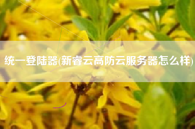 统一登陆器(新睿云高防云服务器怎么样)