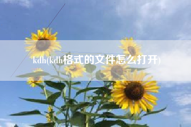 kdh(kdh格式的文件怎么打开)