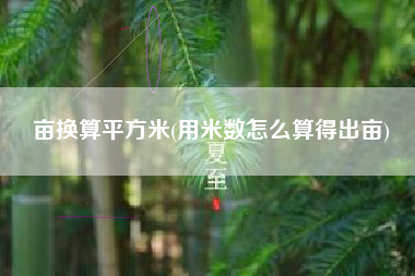 亩换算平方米(用米数怎么算得出亩)
