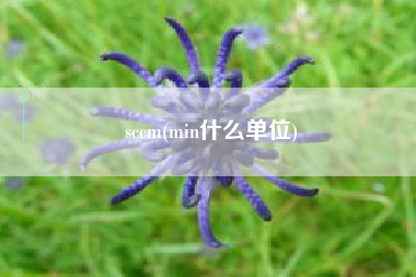 sccm(min什么单位)