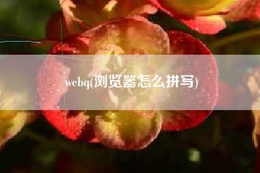 webq(浏览器怎么拼写)