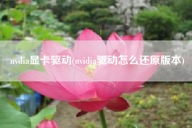 nvdia显卡驱动(nvidia驱动怎么还原版本)