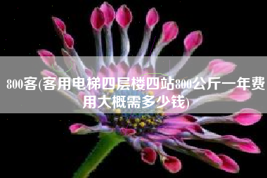 800客(客用电梯四层楼四站800公斤一年费用大概需多少钱)
